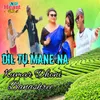 About Dil Tu Mane Na Song